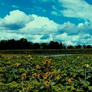 Meet your Posher, Rachael